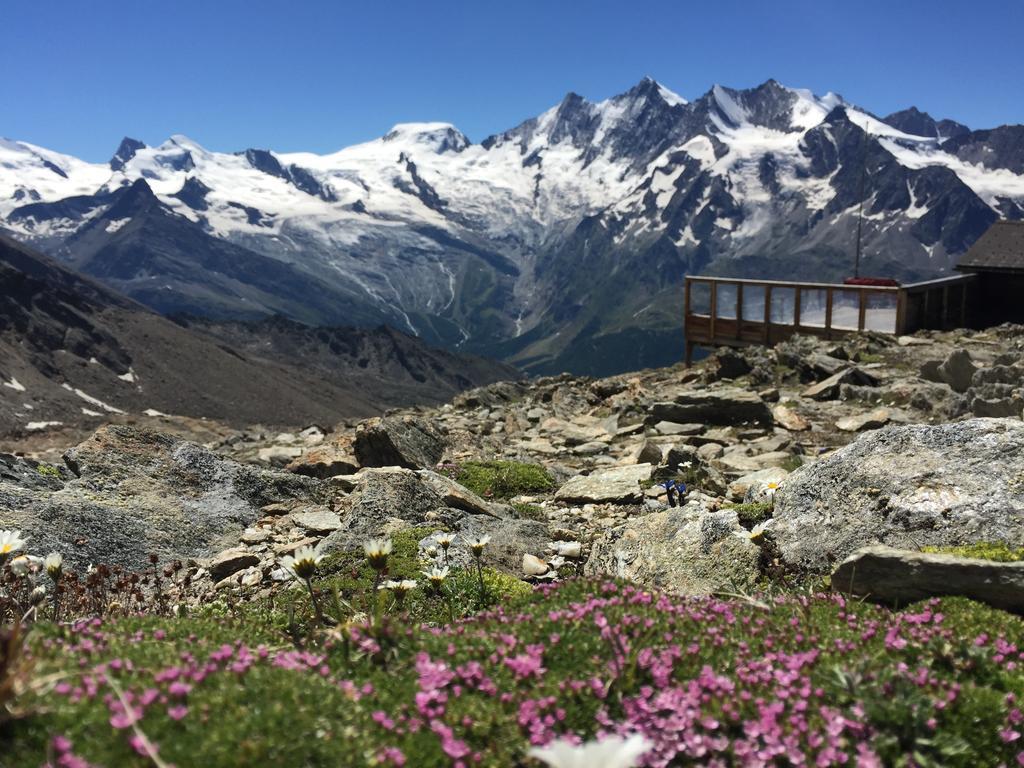 Chalet Alpentraum, Alte Gasse 20 Saas-Grund Esterno foto